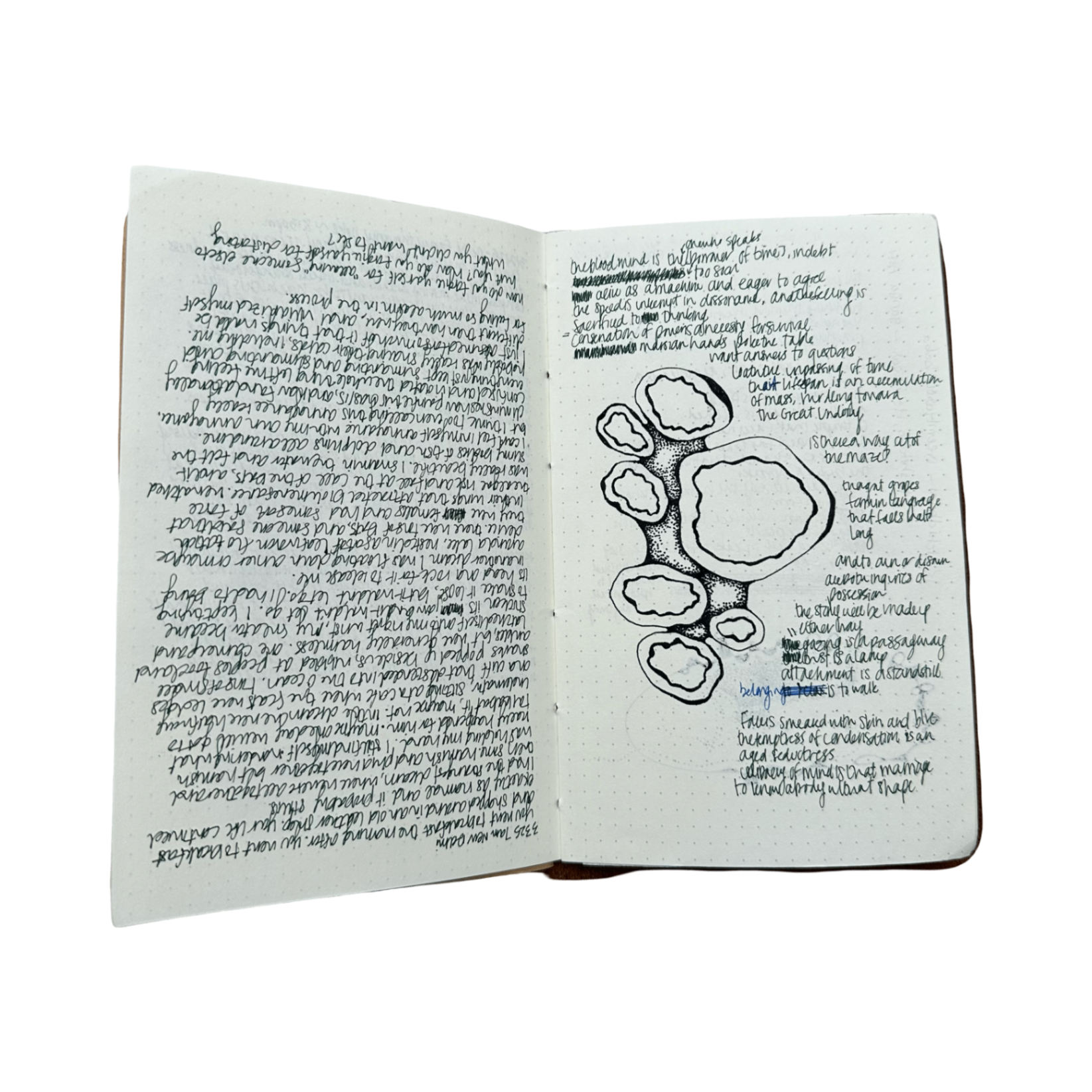 journal — bloomed mind
