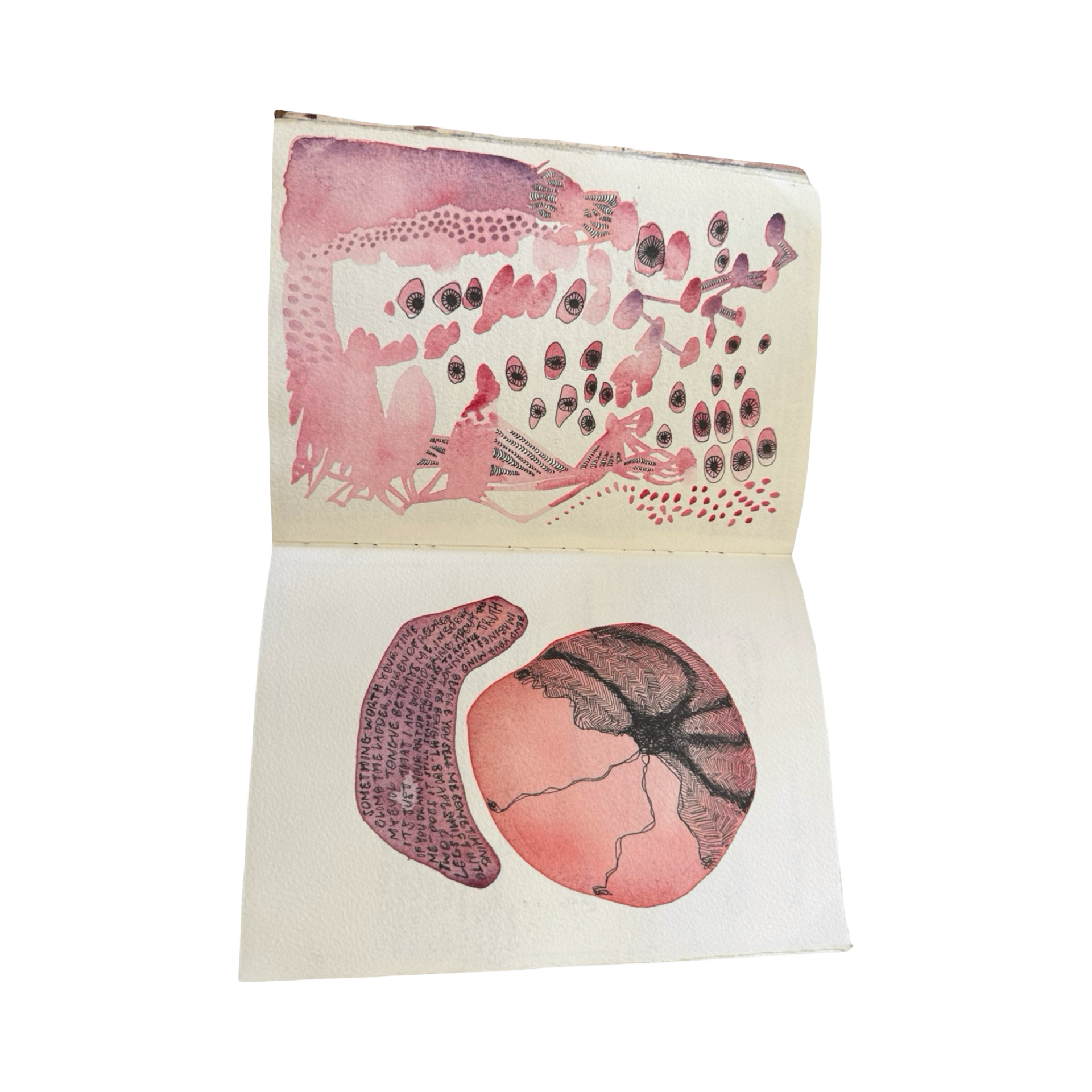 journal — pink eyes spread