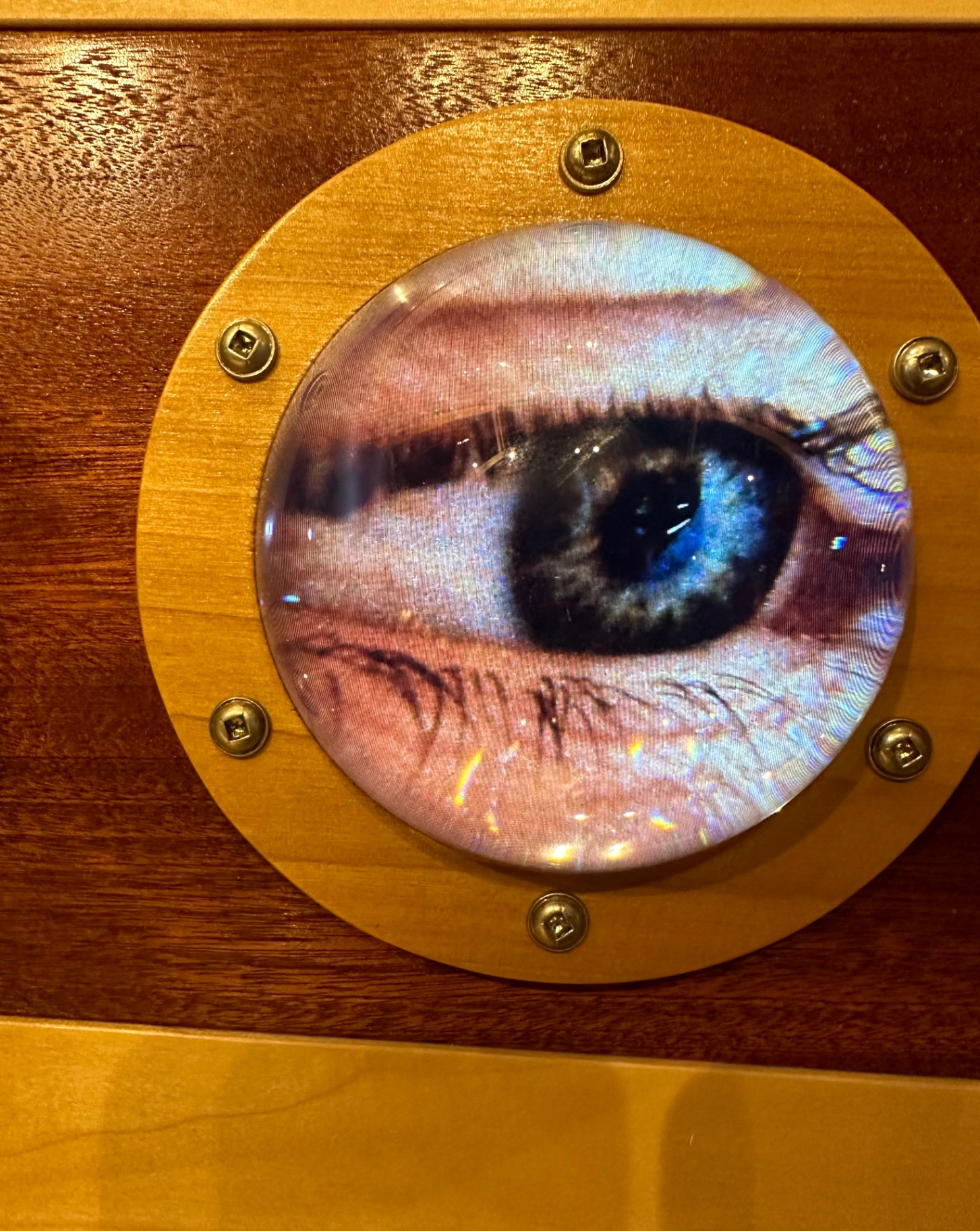 a porthole eye — mounted in wood